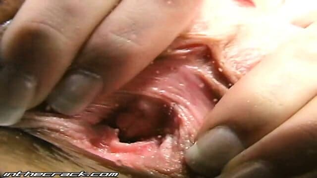 Inthe Crack - Raven 3