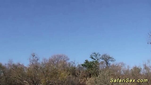 Down In Africa Latin