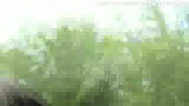 Hot German Girl masturbating on the Train