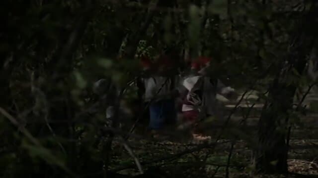 Snow White & The 7 Dwarfs