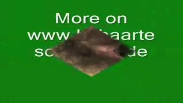 German hairy Bitch plays with Cucumber